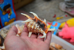 贝壳视频,探索房产新视角，解锁美好居住生活